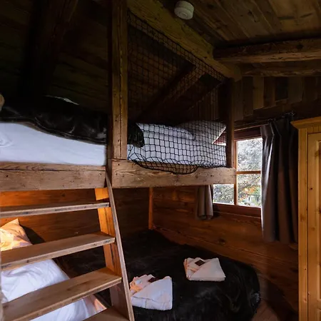 Tiny 2 * 클라우슈탈젤러펠트